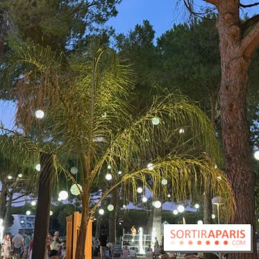 Une soirée estivale sous les pins