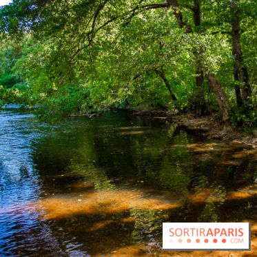Le Château de Vault-de-Lugny - excursions dans la région