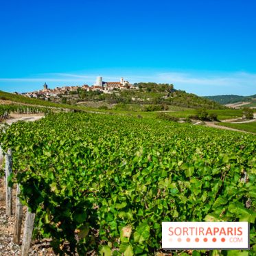 Le Château de Vault-de-Lugny - excursions dans la région