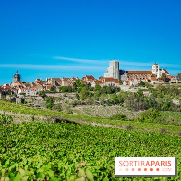 Le Château de Vault-de-Lugny - excursions dans la région