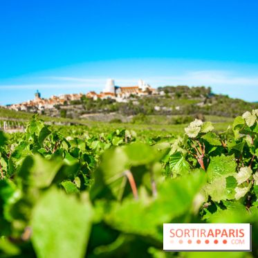 Le Château de Vault-de-Lugny - excursions dans la région