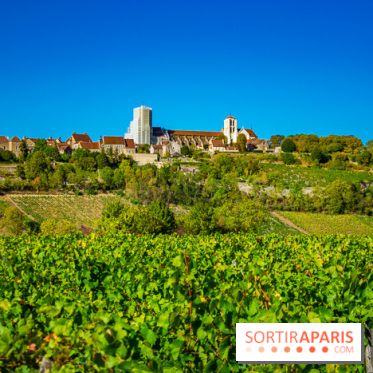 Le Château de Vault-de-Lugny - excursions dans la région