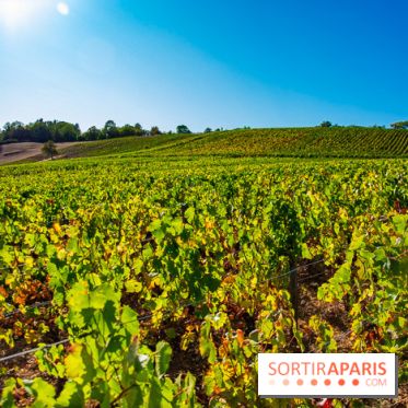 Le Château de Vault-de-Lugny - excursions dans la région