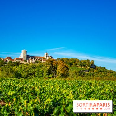 Le Château de Vault-de-Lugny - excursions dans la région