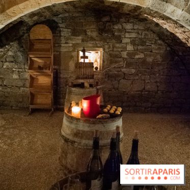 Le Château de Vault-de-Lugny - excursions dans la région