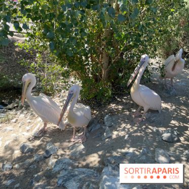 CenterParcs : Domaine Le Bois aux Daims et ses alentours