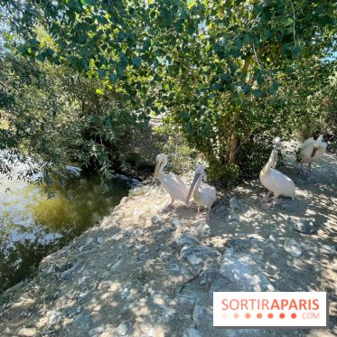 CenterParcs : Domaine Le Bois aux Daims et ses alentours