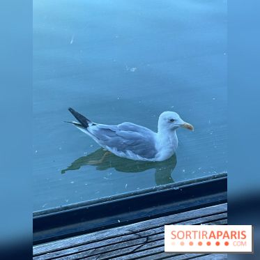 CenterParcs : Domaine Le Bois aux Daims et ses alentours