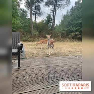 CenterParcs : Domaine Le Bois aux Daims et ses alentours