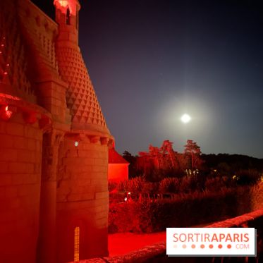 Abbaye Royale de Fontevraud