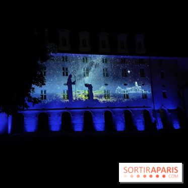 Abbaye Royale de Fontevraud