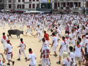5 choses à savoir avant d’aller aux fêtes de Bayonne 2016 (pour passer incognito) 