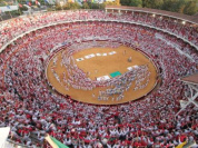 Envie de corridas, de chaleur, d'enivrement ? 