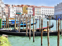 Les incontournables de la Cité des Doges 