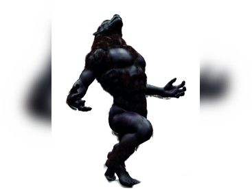 A Halloween, assistez au réveil du Loup-Garou !