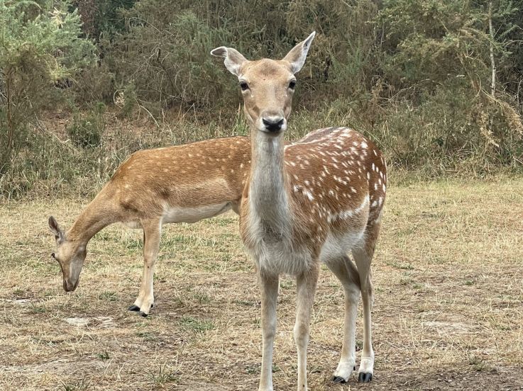À la découverte du domaine du Bois aux Daims par CenterParcs, test de la réservation de groupe