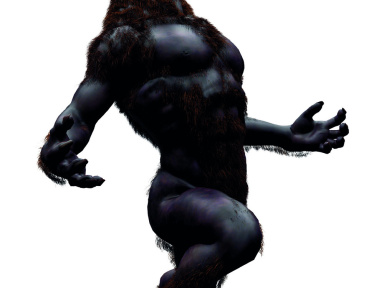 A Halloween, assistez au réveil du Loup-Garou !