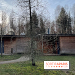 Center Parcs Les Trois Forêts - IMG 2375