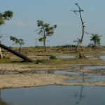 la Réserve Naturelle Nationale des Prés Salés d'Ares et de Lège