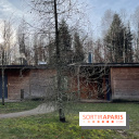 Center Parcs Les Trois Forêts - IMG 2375