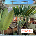 Hôtel Sheraton Fuerteventura  Beach, Golf and Spa Resort