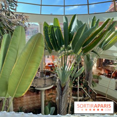 Hôtel Sheraton Fuerteventura  Beach, Golf and Spa Resort