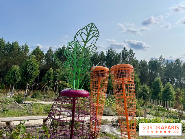 Center Parcs Landes de Gascogne : Nos Photos
