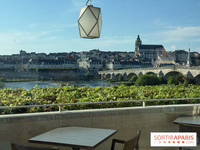 Vue sur Blois depuis Amour Blanc