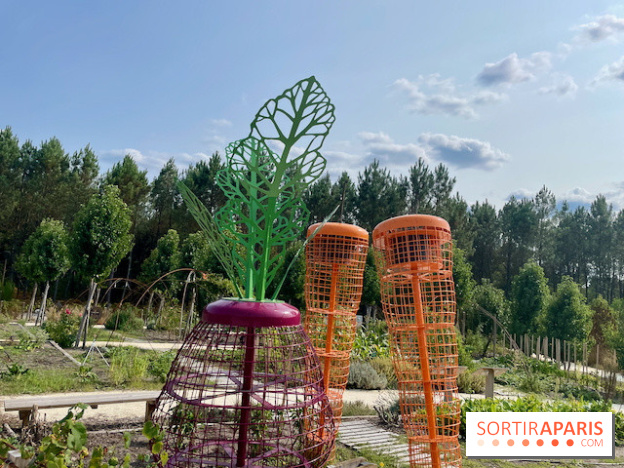Center Parcs Landes de Gascogne : Nos Photos