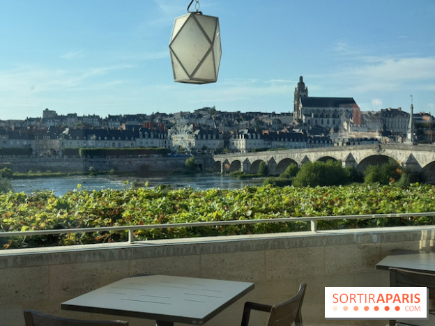 Vue sur Blois depuis Amour Blanc