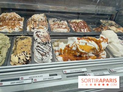 Villa Reine Hortense à Dinard : nos photos - IMG 1089