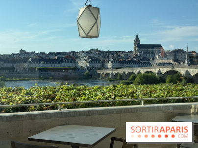 Vue sur Blois depuis Amour Blanc
