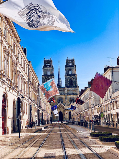 La Sologne : une pause au vert entre forêts et châteaux