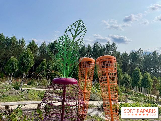 Center Parcs Landes de Gascogne : Nos Photos - IMG 6560