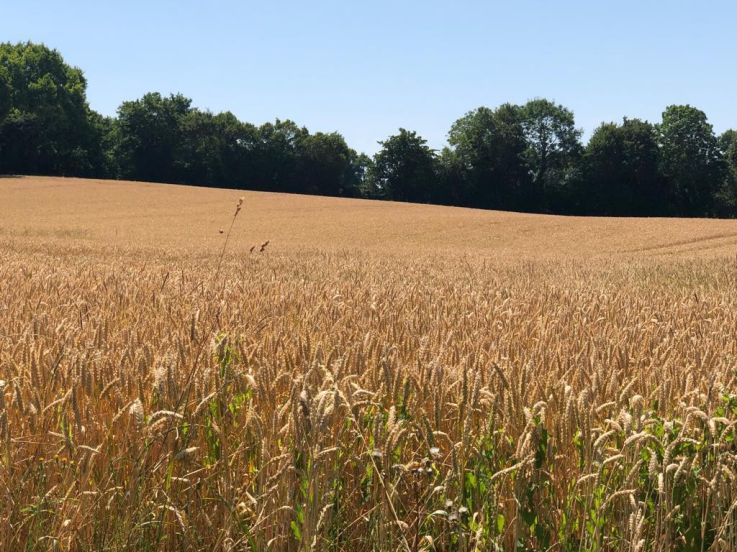 Le Perche, une parenthèse proche de Paris